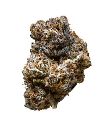 Jack Truffle Flower - Sativa