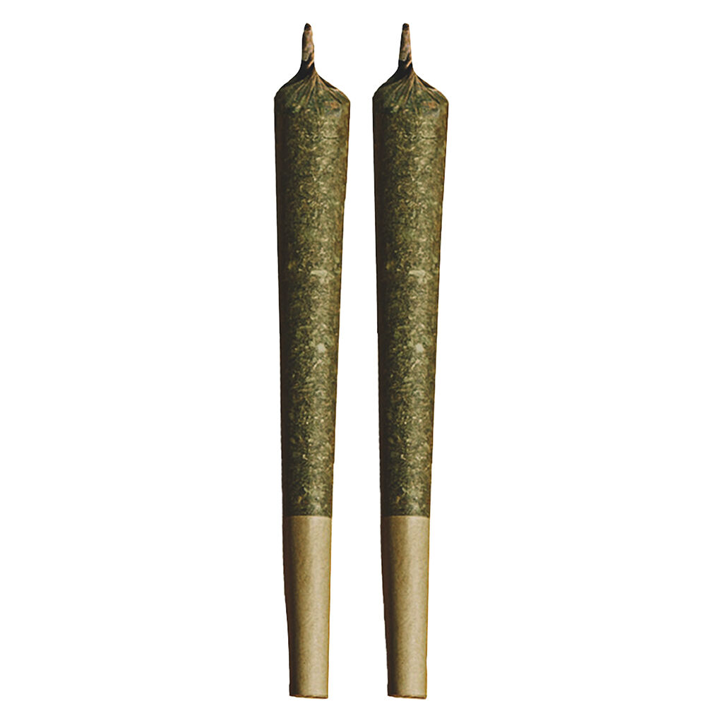 Indica Pre-Rolls - Indica - 2x1g
