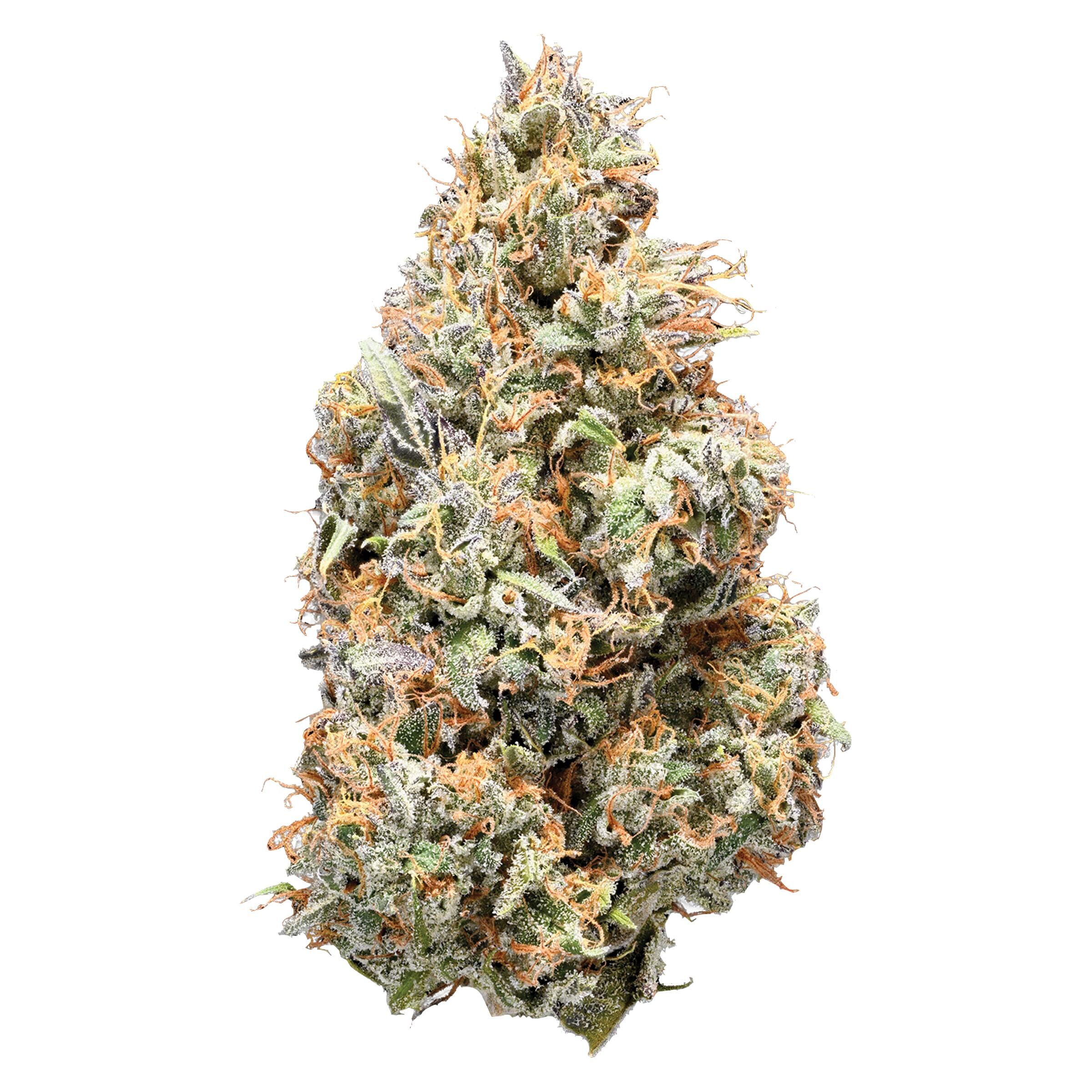 Sativa Flower - Sativa