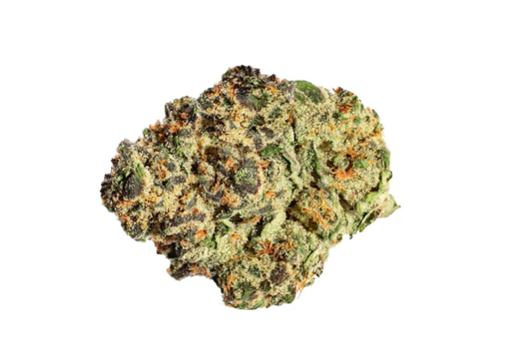 Black Cherry Pie Flower - Indica