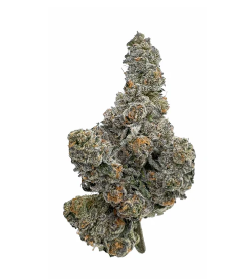 Gastro Pop Flower - Indica