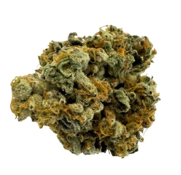 Morning Sun Flower - Indica