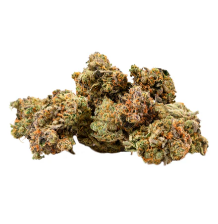Organic Mint Chocolate Chip Petites Flower - Hybrid