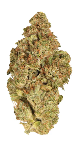 BC Organic Tea Time LTO Flower - Indica