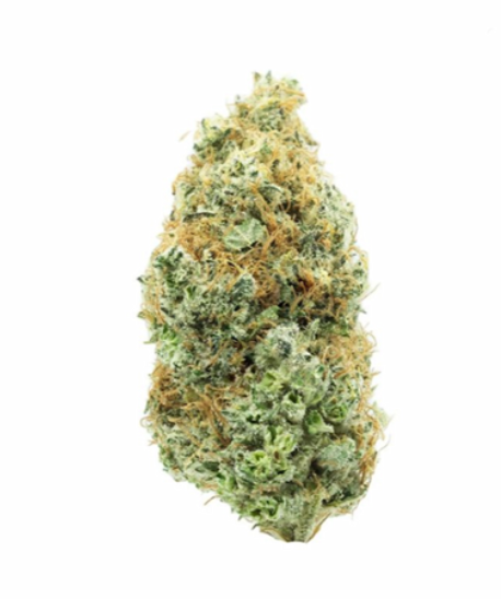 Day Trippin Flower - Sativa - - DD