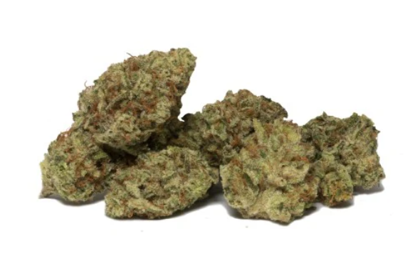 Gluerangutan Harambe Bx