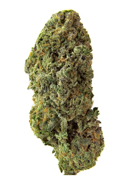 Bandwagon Rotational Sativa