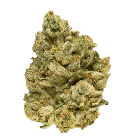 Emergenz Flower Sativa
