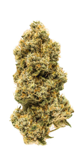 Animal Face Flower - Sativa