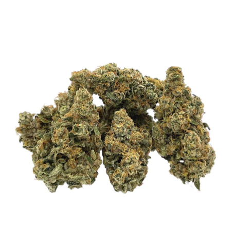 Trailblazer Rootbeer #8 Flower - Sativa